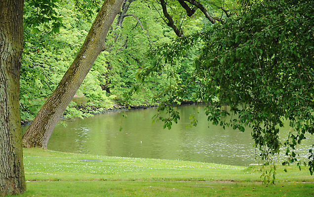 포토 JPG 해외이미지 식물 공원 꽃 스웨덴 사람없음 여름 관광지 정원 성장 원예 스칸디나비아 해외202004 해외포토 계절 공공시설 여행 북유럽 취미 파일형식 이미지허브