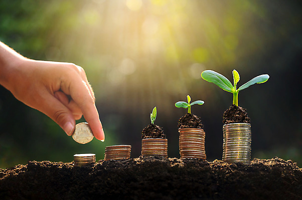 포토 JPG 해외이미지 나무 식물 손 백그라운드 컨셉 잎 돈 비즈니스 자연 성공 사람없음 초록색 금융 경제 쌓기 환경 동전 저축 성장 흰색 잡기 절약 재산 보호 은색 에코 투자 이익 회계 진행 개발 돌봄 생태학 수입 해외202004 해외포토 교육 컬러 모션 신체부위 생태계 파일형식 이미지허브