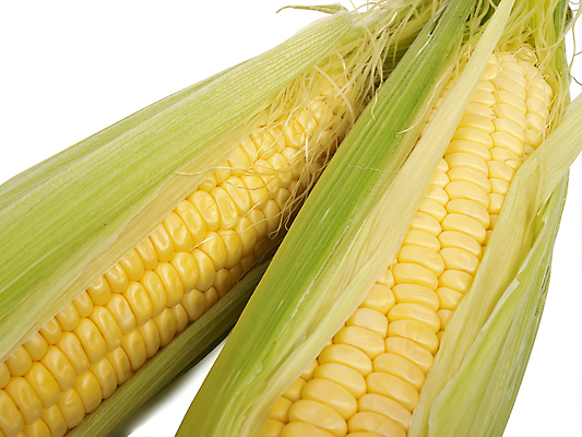 포토 JPG 해외이미지 음식 백그라운드 잎 채소 건강 옥수수 사람없음 초록색 노란색 식사 수확 흰색 신선 유기농 고립 숙성 채식주의자 해외202004 해외포토 식물 웰빙 컬러 농업 곡류 채식 파일형식 이미지허브