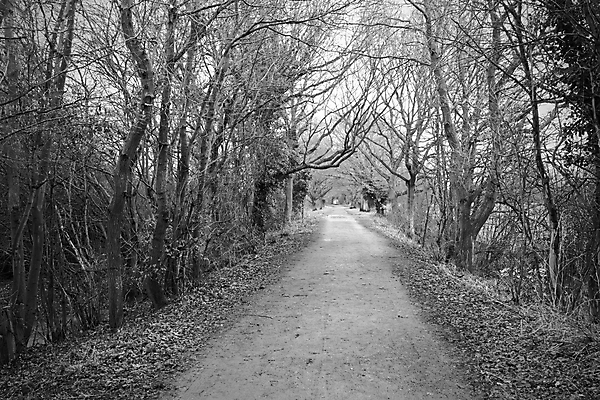 포토 JPG 해외이미지 나무 구름 영어 계절 도로 길 백그라운드 잎 밭 농업 자국 자연 하늘 영국 잉글랜드 풍경 사람없음 초록색 여름 파란색 컬러풀 태양 농장 농경지 평화 맑음 침묵 일몰 봄 산책 가을 시골 큼 장면 내추럴 해외202004 해외포토 자연요소 식물 문자 유럽 산업 컬러 컨셉 교통시설 날씨 휴식 노을 소리 크기 생태계 파일형식 이미지허브