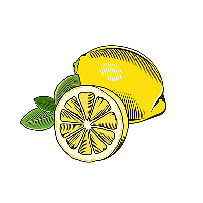 JPG 해외이미지 잎 일러스트 단면 사람없음 노란색 레몬 라인아트 그림 해외202004 해외포토 포토 식물 선 컬러 과일 파일형식 이미지허브