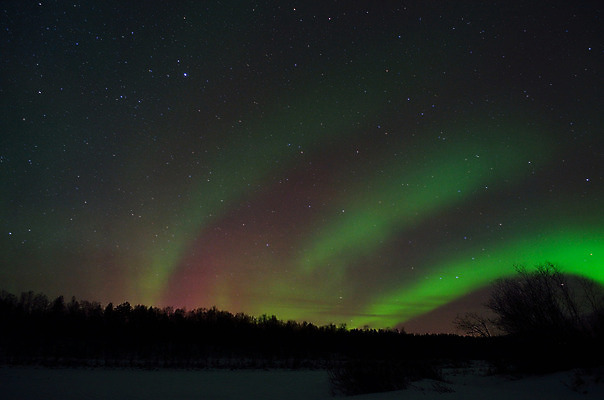 포토 JPG 해외이미지 나무 구름 별 겨울 자연 하늘 동화 바람 전등 산 노르웨이 풍경 사람없음 야외 초록색 빛 강 뷰티 얼음 활발 꿈 추위 흰색 춤 원형 야간 숲 신비 북극 문학 북쪽 빛망울 오로라 내추럴 광 북극해 현상 많음 더스트파티클 해외202004 해외포토 자연요소 도형 식물 계절 유럽 바다 컬러 컨셉 자연현상 날씨 문화예술 조명 극지방 방향 생태계 파일형식 이미지허브