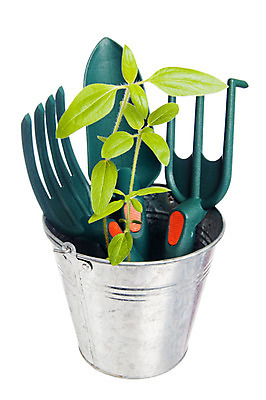 포토 JPG 해외이미지 식물 계절 꽃 백그라운드 포크 새로움 주택 3 손잡이 사람없음 초록색 노란색 금속 정원 검은색 봄 장비 흰색 나뭇가지 도구 공구 업무 그룹 캔 선택 모종삽 삽 허브 오브젝트 국자 원예 내추럴 갈퀴 고립 땅파기 원예사 철강 하드웨어 해외202004 해외포토 나무 직업 식기 컬러 컨셉 재질 주방용품 취미 건물 컴퓨터 작업 파일형식 이미지허브