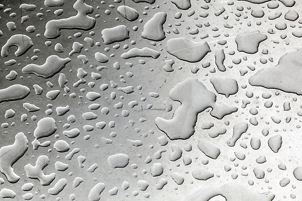 포토 JPG 해외이미지 접시 백그라운드 패턴 자연 탁자 날씨 흑백 미술 사람없음 물 숫자 반사 우주 금속 화목 젖음 물방울 은색 심볼 순수 묘사 뉴욕 공상 구성 정물화 카피스페이스 해외202004 해외포토 자연요소 문자 식기 컬러 가구 컨셉 무늬 재질 문화예술 촬영기법 미국 공백 그림 생태계 파일형식 이미지허브