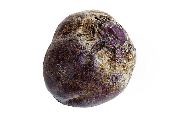 포토 JPG 해외이미지 디자인 음식 다이어트 채소 건강 사람없음 장식 빨간색 흰색 신선 원형 자르기 먹기 유기농 질감 날것 뿌리 내추럴 고립 비트 채식주의자 해외202004 해외포토 도형 웰빙 컬러 모션 채식 파일형식이미지허브 