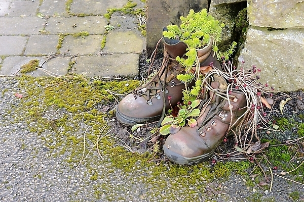 포토 JPG 해외이미지 식물 화분 신발 아이디어 부츠 사람없음 초록색 갈색 재활용 냄비 가죽 에코 DIY 해외202004 해외포토 컬러 컨셉 취미 환경 솥 친환경 파일형식 이미지허브