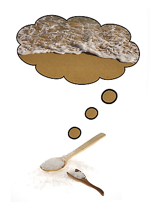 포토 JPG 해외이미지 음식 모래 파도 바다 백그라운드 생각 재료 상상 자연 휴식 건강 요리 풍경 사람없음 목재 물 여름 햇빛 숟가락 맑음 꿈 흰색 조미료 맛 크리스탈 향신료 질감 소금 결정체 흙더미 내추럴 식용 작살 해외202004 해외포토 자연요소 나무 계절 컬러 컨셉 날씨 수저 태양 흙 광석 생태계 향미료 파일형식 더미 이미지허브