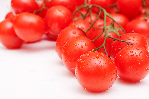 포토 JPG 해외이미지 음식 백그라운드 다이어트 토마토 채소 방울토마토 자연 건강 사람없음 빨간색 초록색 흰색 나뭇가지 신선 체리 이슬 작음 다발 유기농 날것 내추럴 숙성 채식주의자 카피스페이스 해외202004 해외포토 나무 웰빙 컬러 과일 공백 크기 생태계 채식 파일형식 이미지허브