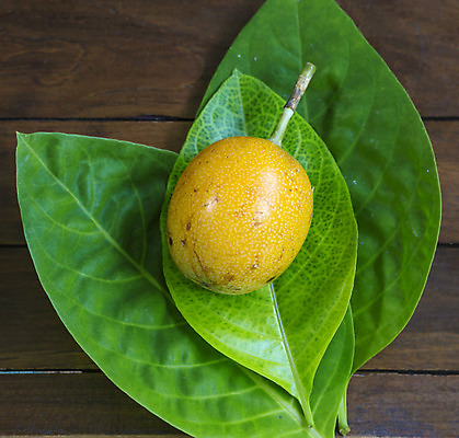 포토 JPG 해외이미지 라이프스타일 음식 다이어트 과일 디저트 건강 씨앗 사람없음 목재 빨간색 노란색 활발 신선 오픈 자르기 배열 상쾌 슛 열정 멀티 숙성 이국적 핵심 해외202004 해외포토 나무 식물 감정 컬러 컨셉 재료 모션 생활 파일형식 이미지허브