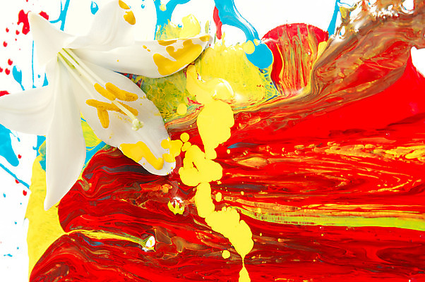 포토 JPG 해외이미지 모양 식물 디자인 교육 꽃잎 꽃 백그라운드 꽃무늬 패턴 추상 아이디어 창조 미술 사람없음 그래픽 장식 빨간색 머리 보라색 페인트 젖음 벚꽃 흰색 그리기 붓기 떨어짐 디자이너 순수 그림 심플 페인트붓 꽃가루 개성 꽃수술 해외202004 해외포토 직업 컬러 컨셉 무늬 모션 문화예술 신체부위 붓 가루 파일형식 이미지허브