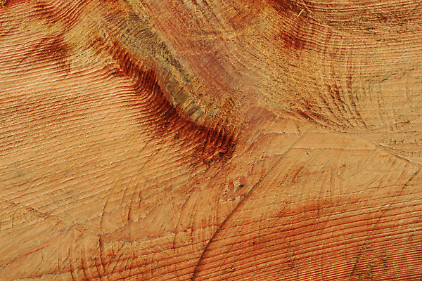 포토 JPG 해외이미지 외관 백그라운드 패턴 탁자 표면 추상 건조 사람없음 목재 장식 갈색 어둠 수확 판넬 거친 널 타일 책상 질감 목공예 내추럴 구식 그런지 수목 옛날 합판 파케트 해외202004 해외포토 나무 컬러 가구 무늬 농업 재료 공예 파일형식 이미지허브