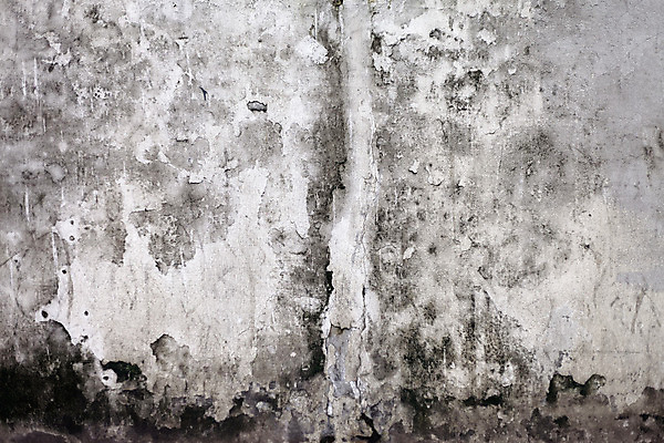 포토 JPG 해외이미지 벽 백그라운드 패턴 일러스트 표면 날씨 추상 바닥 프레임 미술 사람없음 건물 장식 파란색 갈색 어둠 페인트 손상 회색 수확 골동품 도시 얼룩 거친 역사 보행로 균열 질감 복고 캔버스 시멘트 페이지 정맥 그런지 썩음 양피지 옛날 화상 해외202004 해외포토 건축물 길 컬러 컨셉 무늬 농업 모션 문화예술 상처 혈관 파일형식 이미지허브