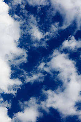 포토 JPG 해외이미지 나무 구름 별 도로 지구 선 여행 밭 교통시설 모션 자연 하늘 날씨 미래 거리 아이디어 풍경 사람없음 파란색 빛 어둠 황혼 새벽 할로윈 운전 사막 달 시골 시간 고속도로 야간 숲 땅 가득함 장면 공상 넘어짐 방법 직진 수평선 소멸 해외202004 해외포토 자연요소 식물 길 컬러 교통 컨셉 농업 일몰 시설 생태계 파일형식 이미지허브