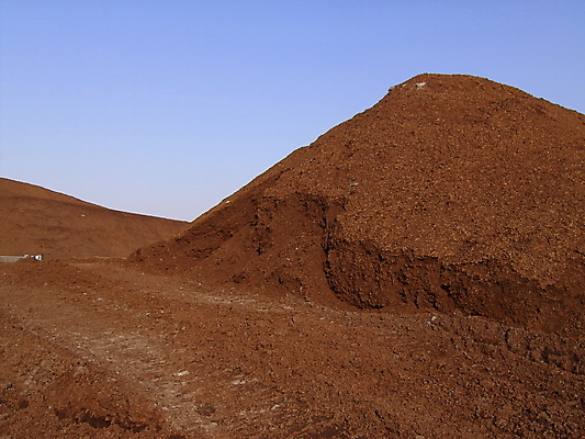 포토 JPG 해외이미지 지구 사람없음 갈색 에너지 발굴 원예 생물학 해외202004 해외포토 교육 컬러 취미 파일형식 이미지허브