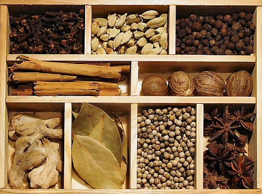 포토 JPG 해외이미지 음식 고추 사람없음 먹기 머스터드 향신료 로즈메리 이국적 향나무 해외202004 해외포토 나무 채소 모션 소스_음식 허브 향미료 파일형식 이미지허브