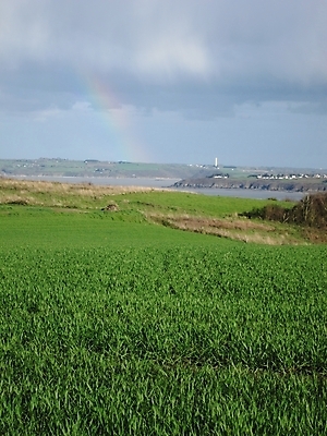 포토 JPG 해외이미지 계절 유럽 밭 농업 자연 풍경 사람없음 여름 농작물 농장 농경지 환경 프랑스 수확 시골 밀 밭일 목가 해외202004 해외포토 나라 산업 곡류 생태계 파일형식 이미지허브