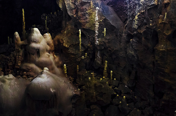 포토 JPG 해외이미지 벽 여행 백그라운드 곰 자연 사람없음 물 빛 컬러풀 어둠 젖음 바위 역사 동굴 비밀 질감 화석 지하 석회암 종유석 지질학 해외202004 해외포토 자연요소 동물 교육 컬러 컨셉 포유류 암석 돌_바위 생태계 파일형식 이미지허브