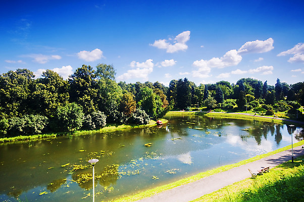포토 JPG 해외이미지 나무 식물 계절 공원 호수 잎 자연 하늘 휴식 그림자 풍경 사람없음 야외 초록색 물 여름 파란색 빛 햇빛 태양 반사 정원 맑음 침묵 봄 흰색 시골 연못 신선 숲 땅 순수 지역 해외202004 해외포토 자연요소 공공시설 컬러 컨셉 날씨 소리 생태계 파일형식 이미지허브