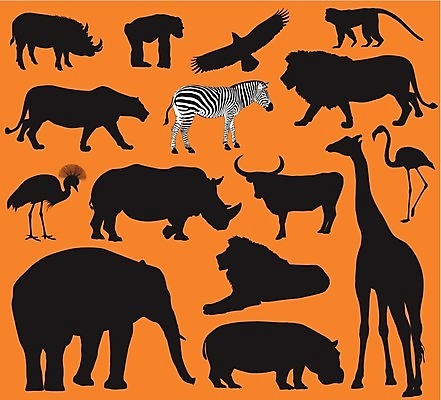 EPS 해외이미지 동물 디자인 실루엣 야생동물 백그라운드 일러스트 포유류 아프리카 자연 조류 코끼리 동물원 세트 검은색 고양이 힘 흰색 기도 원숭이 위험 사자 왕 수집 플라밍고 기린 심볼 사파리 사인 꼬리 윤곽 독수리 육식동물 얼룩말 사냥꾼 하마 코뿔소 표범 침팬지 고립 동물상 사바나 집게발 해외202004 해외일러스트 직업 나라 컬러 컨셉 촬영기법 반려동물 조형물 말_동물 생태계 파일형식 벡터 이미지허브