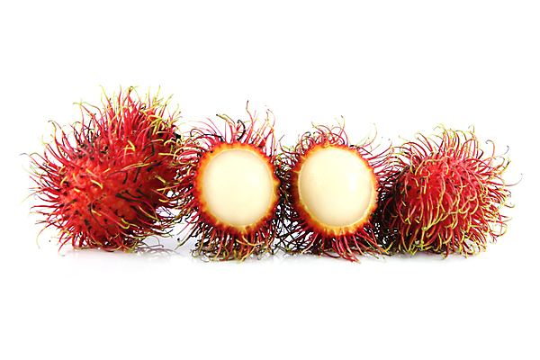 포토 JPG 해외이미지 음식 과일 사람없음 약 달콤 먹기 유기농 포도나무 섬유 내추럴 해외202004 해외포토 웰빙 의학 모션 직물 맛 과일나무 파일형식 이미지허브