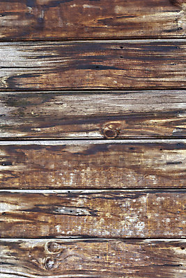 포토 JPG 해외이미지 나무 식물 디자인 외관 벽 백그라운드 꽃무늬 패턴 자연 벽지 표면 날씨 추상 바닥 미술 사람없음 건물 목재 장식 갈색 어둠 회색 수확 골동품 바위 얼룩 거친 닫기 묘사 질감 복고 안심 그런지 석고 수목 옛날 해외202004 해외포토 건축물 꽃 컬러 무늬 농업 재료 모션 문화예술 육류 돌_바위 생태계 파일형식 이미지허브