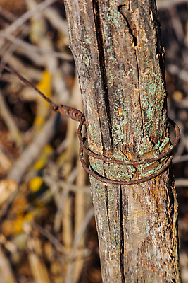 포토 JPG 해외이미지 실루엣 선 백그라운드 자연 추상 미술 안전 풍경 사람없음 목재 울타리 농장 금속 목장 경계선 시골 막대기 보호 질감 날카로움 철사 철조망 옛날 해외202004 해외포토 나무 컨셉 무늬 농업 재료 재질 문화예술 촬영기법 담장 경계 생태계 파일형식 이미지허브