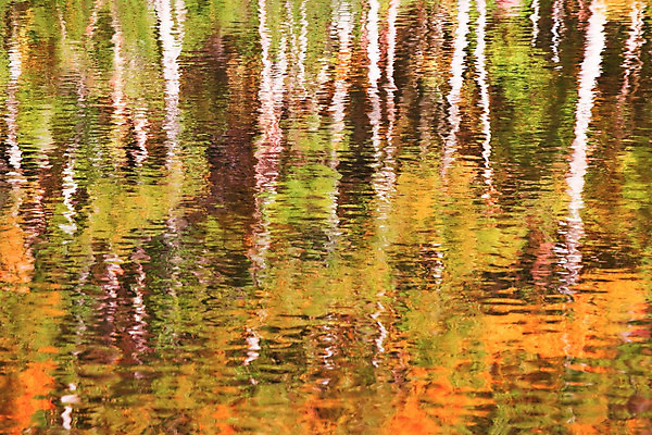 포토 JPG 해외이미지 나무 식물 계절 공원 호수 여행 잎 자연 풍경 사람없음 야외 목재 초록색 물 강 컬러풀 햇빛 태양 반사 평화 환경 맑음 침묵 활발 젖음 가을 시골 연못 개울 황무지 황금 숲 장면 10월 내추럴 해외202004 해외포토 자연요소 공공시설 컬러 컨셉 재료 날씨 소리 날짜 생태계 파일형식 이미지허브