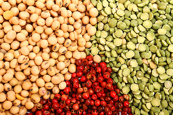 포토 JPG 해외이미지 음식 백그라운드 재료 종류 요리 씨앗 사람없음 빨간색 초록색 컬러풀 노란색 뜨거움 양념 조미료 맛 가루 향신료 매움 완두콩 냄새 향 후추 성분 대두 해외202004 해외포토 식물 컬러 컨셉 콩 향미료 파일형식 이미지허브