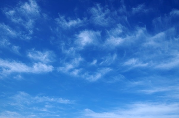 포토 JPG 해외이미지 구름 건축물 하늘색 백그라운드 패턴 모션 상상 자연 하늘 바람 날씨 추상 풍경 사람없음 야외 물 여름 빛 햇빛 흐름 안개 흰색 파마 분위기 입자 고도 깃털 질감 부드러움 천국 내추럴 현상 해외202004 해외포토 자연요소 헤어스타일 계절 건축 컬러 컨셉 무늬 파란색 태양 감각 생태계 파일형식 이미지허브