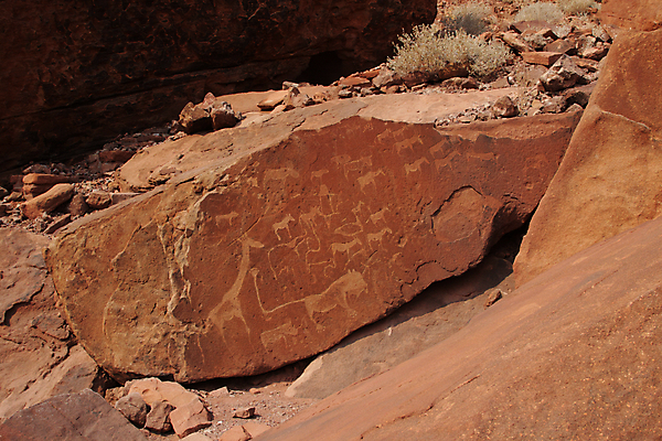 포토 JPG 해외이미지 동물 문화 아프리카 미술 사람없음 빨간색 갈색 세계문화유산 사자 기린 그림 암초 판화 선사시대 원시시대 나미비아 옛날 해외202004 해외포토 나라 컬러 포유류 문화예술 문화재 역사 남아프리카 파일형식 이미지허브