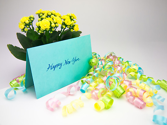 포토 JPG 해외이미지 디자인 계절 기념일 꽃 행복 리본 종이 분홍색 백그라운드 겨울 휴가 새로움 새해 프레임 선물 미술 이벤트 사람없음 장식 초록색 파란색 상자 노란색 라벨 놀람 기쁨 흰색 축하 인사 신용카드 메시지 달콤 연도 엽서 초대 해외202004 해외포토 식물 감정 컬러 컨셉 문화예술 표정 금융 예절 맛 편지 파일형식 이미지허브