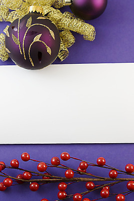 포토 JPG 해외이미지 열매 크리스마스 공 휴가 사람없음 장식 우주 보라색 장식볼 흰색 인사 신용카드 황금 여의주 카피스페이스 해외202004 해외포토 식물 기념일 컬러 금융 공백 예절 파일형식 이미지허브