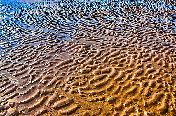 포토 JPG 해외이미지 물결 모래 파도 바다 백그라운드 패턴 자연 벽지 표면 아침 휴가 휴식 해변 사람없음 세로 물 파란색 태양 갈색 노란색 여행객 일출 일몰 젖음 매끈함 묘사 네덜란드 질감 산등성이 진흙 보여주기 대각선 내추럴 암스테르담 소금물 잔물결 해외202004 해외포토 주간 자연요소 유럽 선 컬러 컨셉 무늬 모션 산 사람 노을 감각 생태계 파일형식 이미지허브