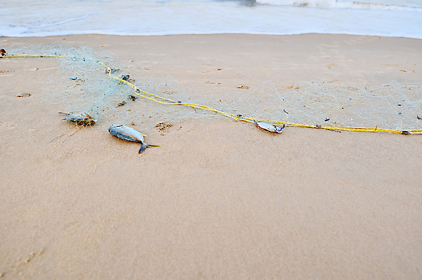포토 JPG 해외이미지 모래 파도 바다 섬 여행 자연 하늘 어류 풍경 사람없음 야외 물 여름 파란색 햇빛 태양 죽음 만 석호 수평선 해외202004 해외포토 자연요소 계절 컬러 수중동물 생태계 파일형식 이미지허브