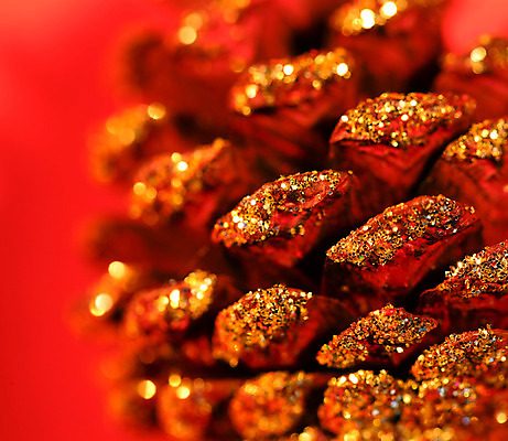 포토 JPG 해외이미지 디자인 계절 행복 리본 백그라운드 크리스마스 겨울 공 벽지 휴가 새로움 기념 사탕 사람없음 내부 장식 빛 상자 컬러풀 장난감 축제 흰색 축하 인사 화려 황금 오브젝트 활 보케 초대 핸드메이드 해외202004 해외포토 기념일 감정 컬러 컨셉 디저트 예절 파일형식 이미지허브