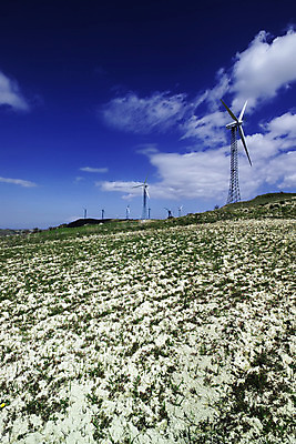 포토 JPG 해외이미지 날개 자연 하늘 바람 풍경 사람없음 초록색 파란색 환경 탑 금속 힘 재활용 행성 발전기 에너지 분위기 선택 목표 언덕 옵션 생태계 역동적 프로펠러 순환 태양에너지 유지 내추럴 생태학 지원 해외202004 해외포토 자연요소 건축물 교육 컬러 컨셉 모션 재질 날씨 우주 발전소 그린에너지 친환경 파일형식 이미지허브