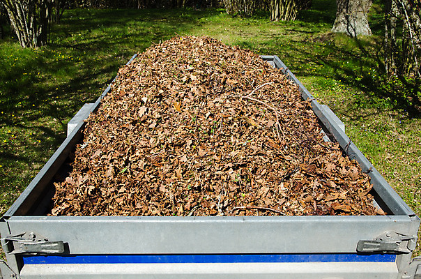 포토 JPG 해외이미지 잎 교통시설 자연 건조 스웨덴 사람없음 야외 초록색 봄 화물 업무 작음 청소 가득함 오브젝트 트레일러 뒤뜰 스칸디나비아 해외202004 해외포토 식물 계절 컬러 교통 북유럽 운송업 작업 크기 시설 생태계 파일형식 이미지허브