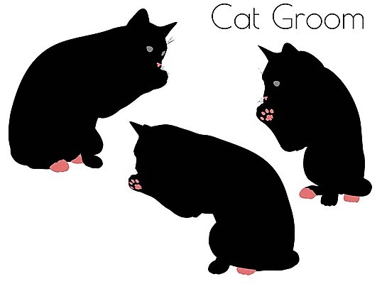 EPS 해외이미지 모양 동물 실루엣 포즈 일러스트 포유류 자연 그림자 사람없음 그래픽 반려동물 검은색 고양이 호랑이 사자 스케치 흰배경 윤곽 표범 고립 엘리먼트 재규어 스라소니 해외202004 해외일러스트 컬러 백그라운드 촬영기법 미술 흰색 생태계 파일형식 벡터 이미지허브