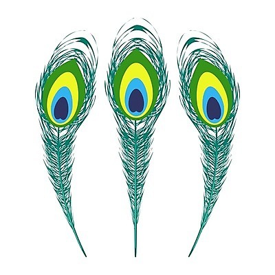 EPS 해외이미지 동물 디자인 실루엣 야생동물 컨셉 패턴 일러스트 자연 조류 그래픽 장식 초록색 파란색 컬러풀 갈색 우주 흰색 우아함 공작 스케치 심볼 깃털 묘사 그림 꼬리 솜털 고립 이국적 스타일 해외202004 해외일러스트 컬러 무늬 촬영기법 미술 생태계 파일형식 벡터 이미지허브