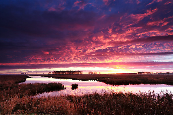 포토 JPG 해외이미지 구름 호수 분홍색 자연 하늘 표면 아침 불 풍경 사람없음 야외 빨간색 물 파란색 강 반사 일출 보라색 일몰 시골 속도 네덜란드 수평선 해외202004 해외포토 주간 자연요소 유럽 컬러 노을 생태계 파일형식 이미지허브