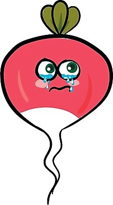 EPS 해외이미지 식물 음식 조각 잎 채소 과일 일러스트 재료 건강 요리 초록색 주방 정원 보라색 샐러드 수확 신선 달콤 맛 작음 다발 그림 유기농 날것 슬라이스 뿌리 내추럴 숙성 식용 총각무 핸드메이드 해외202004 해외일러스트 웰빙 컬러 컨셉 농업 크기 무 파일형식 벡터 산업 뿌리채소 이미지허브