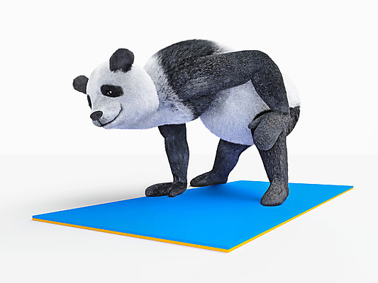 포토 JPG 해외이미지 동물 캐릭터 라이프스타일 디자인 아시아 문화 야생동물 스포츠 일러스트 곰 포유류 건강 사람없음 그래픽 운동 판다 비만 메인 만들기 신분 영웅 솜털 고립 마스코트 발생 현실 해외202004 해외포토 나라 모션 생활 몸매 파일형식 이미지허브