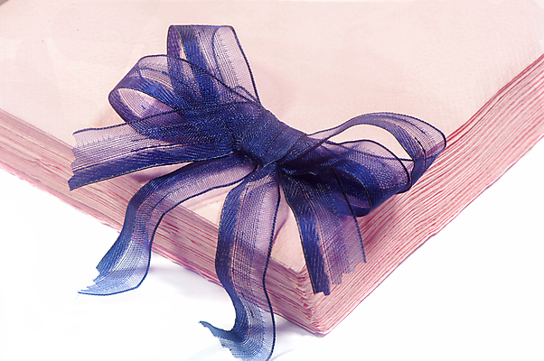 포토 JPG 해외이미지 종이 결혼 백그라운드 탁자 사람없음 장식 수건 파티 주방 요식업 식당 흰색 조직 일회용 냅킨 정사각형 고립 해외202004 해외포토 도형 산업 컬러 가구 이벤트 위생용품 상점 파일형식 이미지허브