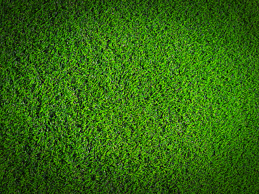 포토 JPG 해외이미지 식물 라이프스타일 백그라운드 잎 패턴 밭 자연 추상 풍경 잔디 사람없음 야외 장식 초록색 여름 우주 환경 봄 성장 시골 신선 칼날 땅 허브 질감 장면 지역 내추럴 땅바닥 그리너리 해외202004 해외포토 계절 컬러 무늬 농업 바닥 생활 생태계 파일형식 트랜드컬러 이미지허브