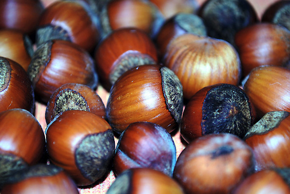 포토 JPG 해외이미지 음식 백그라운드 다이어트 채소 재료 자연 건강 요리 사람없음 갈색 견과류 먹기 유기농 질감 호두 해외202004 해외포토 웰빙 컬러 모션 생태계 파일형식 이미지허브