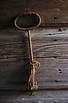 포토 JPG 해외이미지 열쇠 주택 사람없음 장식 문 금속 검은색 수확 골동품 철 심볼 오브젝트 부식 복고 잠금 보안 구식 옛날 해외202004 해외포토 컬러 농업 재질 안전 건물 파일형식 이미지허브