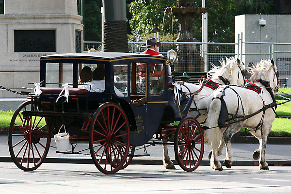 포토 JPG 해외이미지 사람없음 유행 카트 도시 호주 큼 마차 구식 멜버른 빅토리아 옛날 해외202004 해외포토 교통수단 오세아니아 크기 파일형식 이미지허브