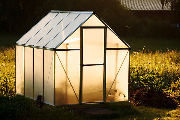 포토 JPG 해외이미지 식물 외관 음식 농업 자연 유리 아침 주택 건강 사람없음 건물 가로 초록색 여름 빛 햇빛 농장 환경 정원 새벽 수확 성장 가을 센터 황금 작음 원예 뒤뜰 밭일 온실 해외202004 해외포토 주간 자연요소 건축물 계절 산업 컬러 재질 취미 태양 크기 생태계 파일형식 이미지허브