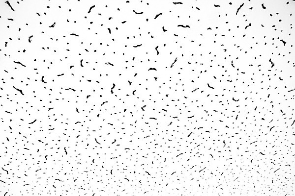 포토 JPG 해외이미지 디자인 산업 종이 벽 백그라운드 패턴 벤치 건축양식 벽지 추상 바닥 주택 프레임 미술 사람없음 내부 건물 책 주방 공백 회색 수확 거친 균열 플랫 정상 타일 고민 천장 질감 날것 시멘트 패널 그런지 석고 콘크리트 평야 공급 해외202004 해외포토 건축물 건축 감정 컬러 무늬 농업 의자 모션 자연 문화예술 파일형식 이미지허브