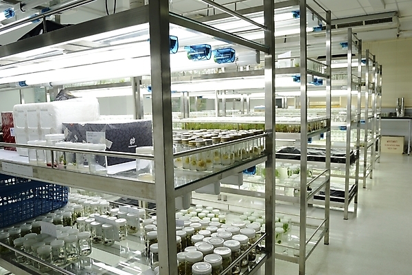 포토 JPG 해외이미지 나무 식물 교육 꽃 문화 과학 선반 세포 실험 사람없음 초록색 빛 환경 시험 성장 죽음 조직 실험실 중앙 질병 생명공학 먹이 과학자 분석 생물학 유전 줄서기 캡모자 해외202004 해외포토 직업 모자_잡화 컬러 가구 컨셉 의학 모션 학자 파일형식 이미지허브